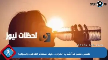 طقس مصر غداً شديد الحرارة.. كيف ستتأثر القاهرة وأسوان؟